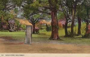 Hampshire Postcard - Rufus Stone, The New Forest  RS24714