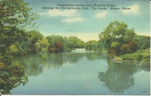 Bangor, Me., Kenduskeag Stream from Maxfield Bridge showing Old Swimming Hole.