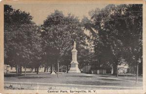 Springville New York Central Park Street View Antique Postcard K78682