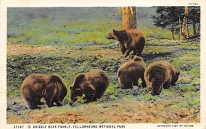 Grizzly Bear Family Yellowstone National Park, WY, USA Bear 1939 