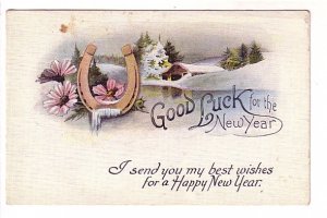 Horse Shoe, Good Luck for New Year, Greating Postcard