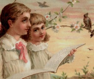 1880s Victorian Religious Trade Card Lovely Girls & Birds #6N