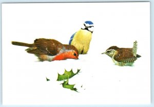 Artist Kenneth Lilly ROBIN, WREN and BLUE TIT  Medici Society 4x6 Postcard