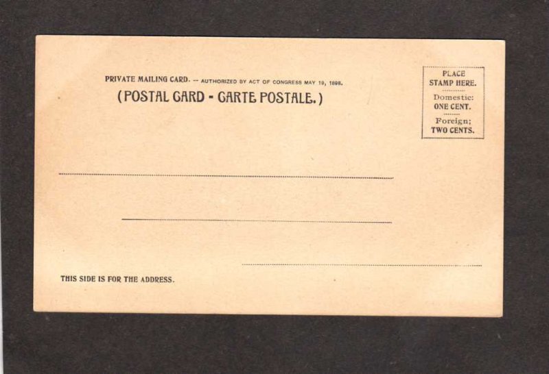MO Tower Grove Park St Louis Missouri PMC Private Mailing Card Postcard UDB