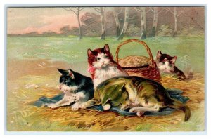 Four Beautiful CATS in a MEADOW ~1908 Embossed PFB Postcard