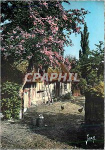 Modern Postcard Normandy Entree Farm