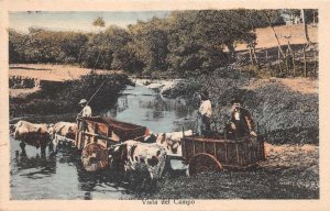 Costa Rica Wagons Crossing River Countryside Vintage Postcard AA109386