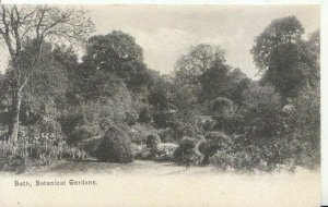 Somerset Postcard - Botanical Gardens - Bath - Ref 2398A