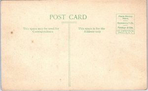 1910s Mazon Avenue and West Street Dwight IL Hand Colored Postcard