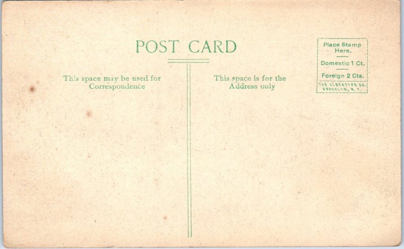 1910s Mazon Avenue and West Street Dwight IL Hand Colored Postcard