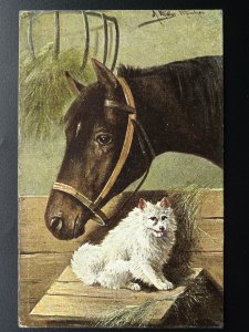 Horse & Dog Theme PORTRAIT of HORSE & DOG c1905 Postcard by Hildesheimer & Co.