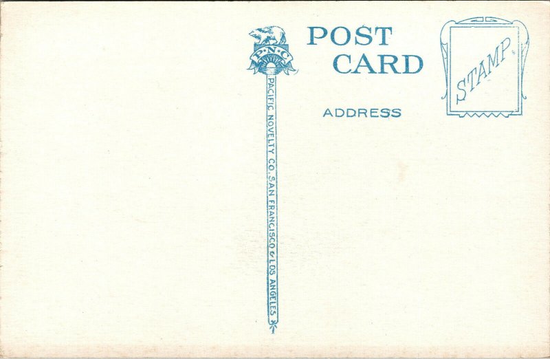Vtg 1920s Hotel Montgomery San Jose California CA Postcard
