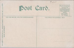 City Hall Danbury Connecticut Vintage Postcard C083