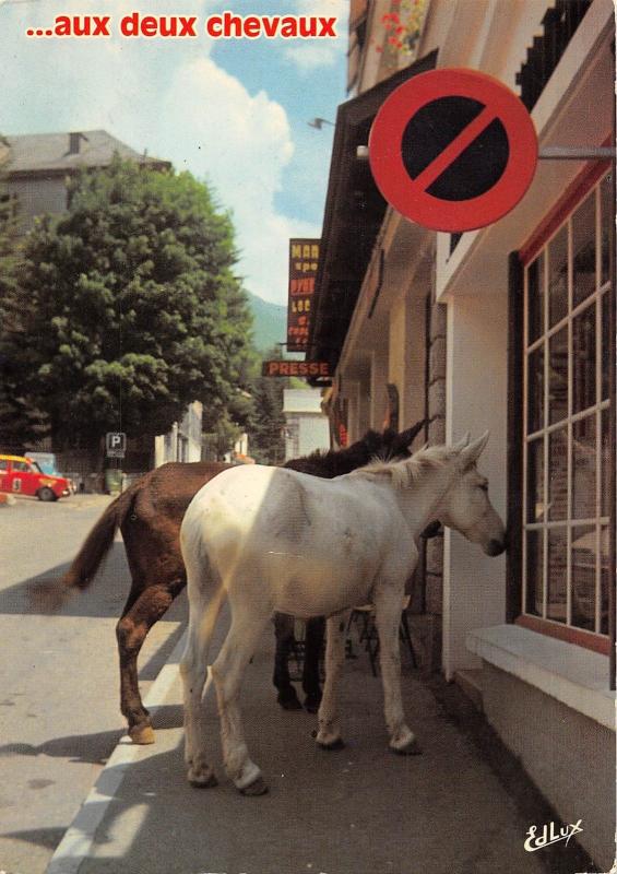 B98650 chevaux horse deux amis en vadrouille france  animals animaux