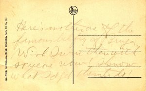 Belgium - Bruges. The Grand Square