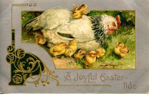 Greeting - Easter. Chicks, Winsch 