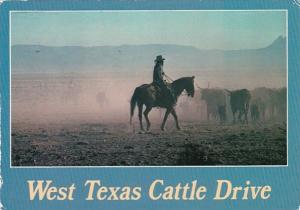 Texas West Texas Cattle Drive 1998