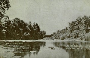 C.1900-10 On The Genesee River, Belmont, NY Bridge Shore Vintage Postcard F67