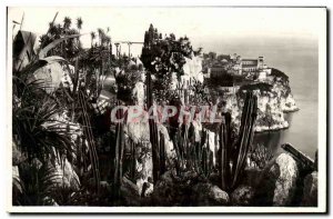 Old Postcard Monaco The Exotic Gardens