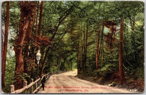 Scene AlongWissahickon Drive Above Allen Lane Philadelphia Pennsylvania Postcard