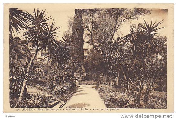 Hotel St-George, View In The Garden, Alger, Algeria, Africa, PU-1924