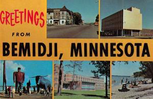 Bemidji Minnesota Multiview Greetings Vintage Postcard J77403 