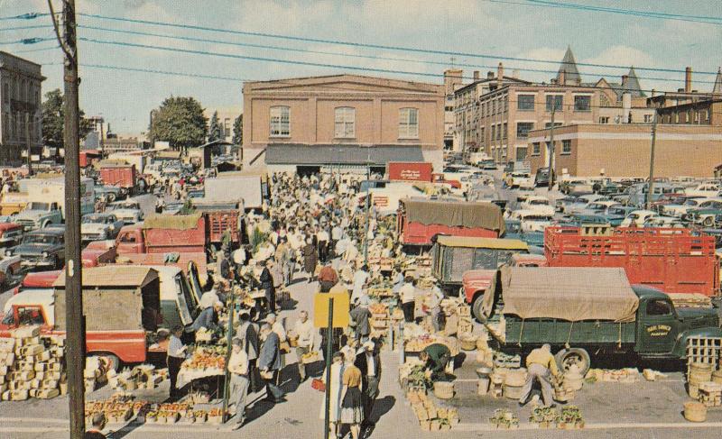 Kitchener Farmers Market Ontario Canada Canadian Postcard