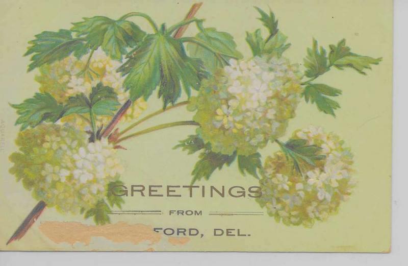 Seaford Delaware Greetings From white flowers embossed antique pc Z29925