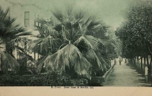 Street Scene OROVILLE Butte County, California 1911 Vintage Postcard