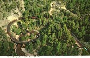 Vintage Postcard Pig Tail Bridge Unique Road Design Black Hills South Dakota