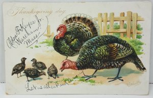 Thanksgiving Day Turkey 1906 Vintage Antique Postcard