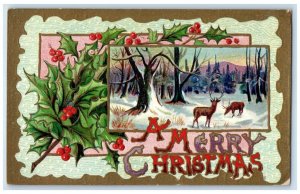 1910 Merry Christmas Deer Winter Holly Berries Embossed Nyack NY Posted Postcard
