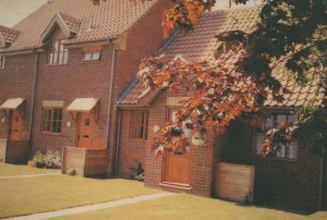 Barn Cottages Wenhaston Halesworth Suffolk Ltd Edn Postcard