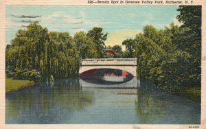 Vintage Postcard 1956 Beauty Spot In Genesee Valley Rochester New York NY