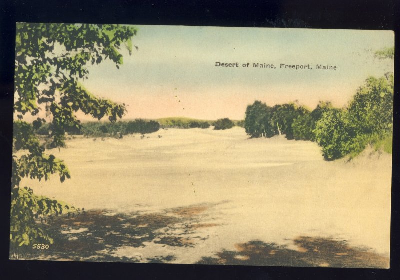 Freeport, Maine/ME Postcard, Desert Of Maine, #2