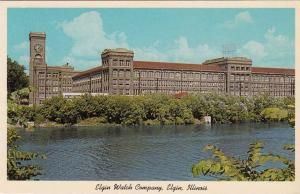 LP86  Elgin, Illinois, IL, postcard, Elgin Watch Company.
