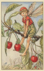 The Cherry Tree Fairy Flower Fairies From WW2 Book Postcard