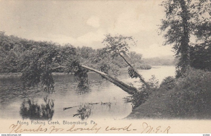 BLOOMSBURG, Pennsylvania, 1907; Along Fishing Creek