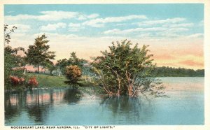 Vintage Postcard 1920's Mooseheart Lake Near Aurora Illinois City of Lights ILL