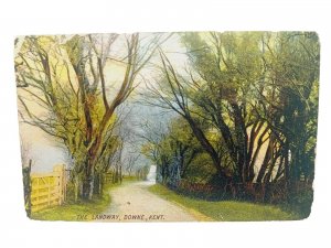 The Landway Downe Kent Vintage Postcard 1907
