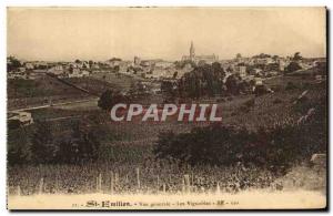 Saint Amilion Old Postcard General view Vineyards