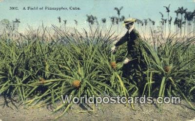 Field of Pineapples Republic of Cuba Unused 