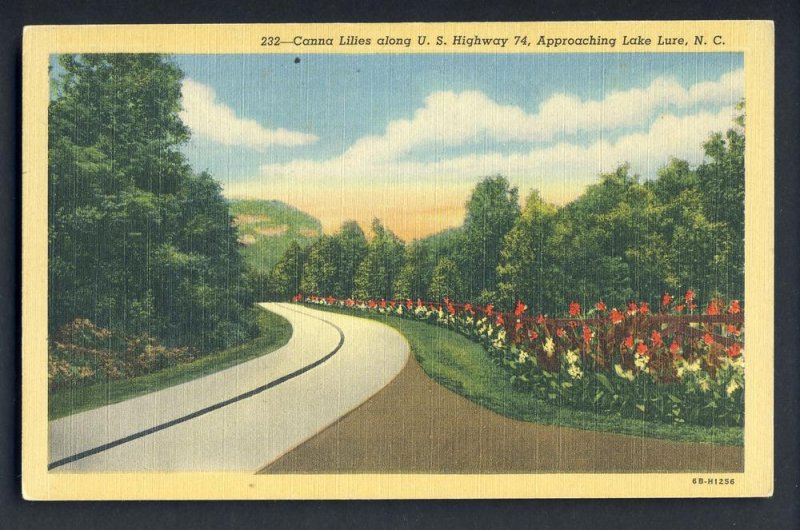 Lake Lure,North Carolina/NC Postcard,Canna Lillies, Highway 74