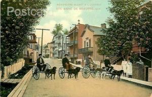 Canada, Quebec, Ste Anne De Beaupre, Dogs Pulling Carriages, Montreal Import Co.