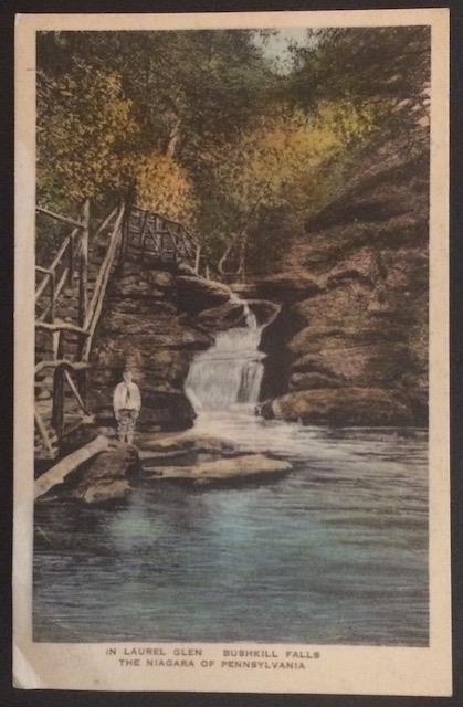 Laurel Glen Bushkill Falls The Niagara of PA The Albertype Co Hand Colored