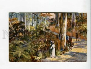 3173202 AUSTRALIA Melbourne Blackspur Vintage TUCK postcard