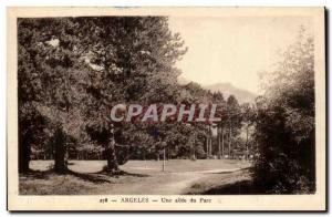 Argeles Old Postcard An allee park