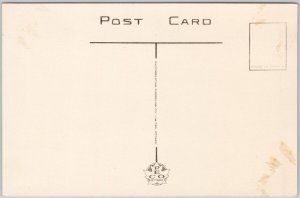 Pool Terminal Elevator No 7 Port Arthur Fort William Ontario PECO Postcard H69