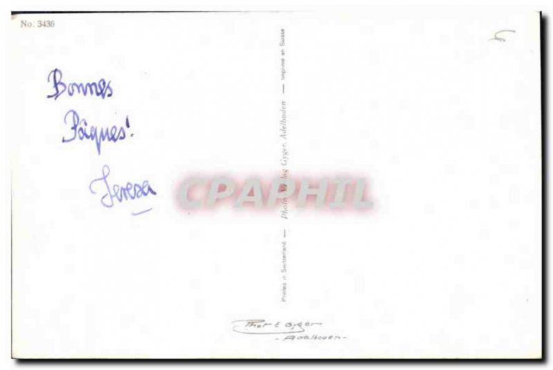 Postcard Old Chicks Flowers