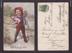 HUNGARY, Vintage postcard, Child with pigs, Happy New Year, Posted